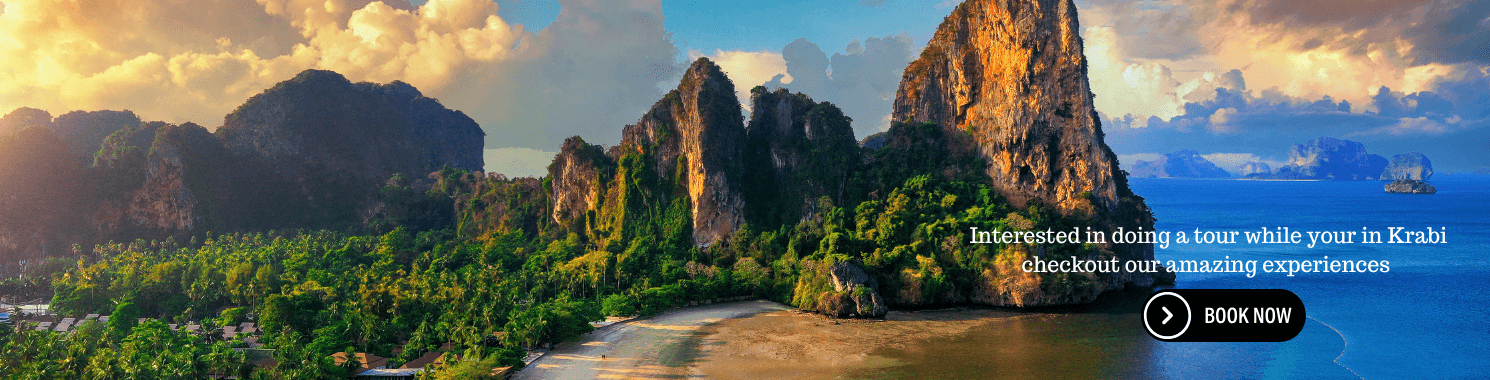 G (1490 x 380 px) (2)